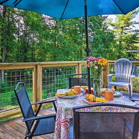 Shaw Creek Cottage With Fire Pit And Forest Views Hendersonville Exterior foto